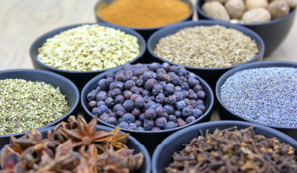 spice tour